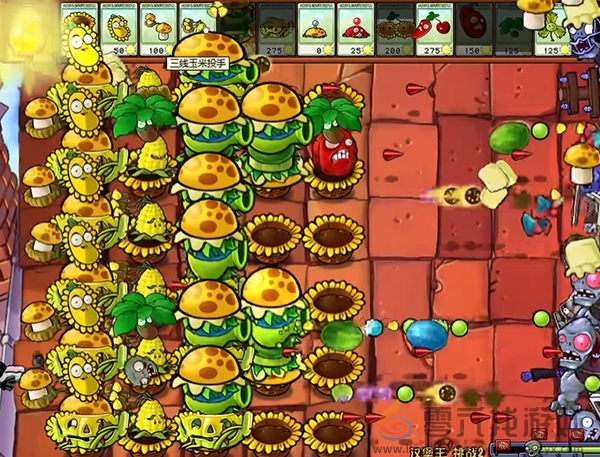 植物大战僵尸杂交版汉堡王2通关攻略(图4) 植物大战僵尸杂交版汉堡王2通关攻略(图4)
